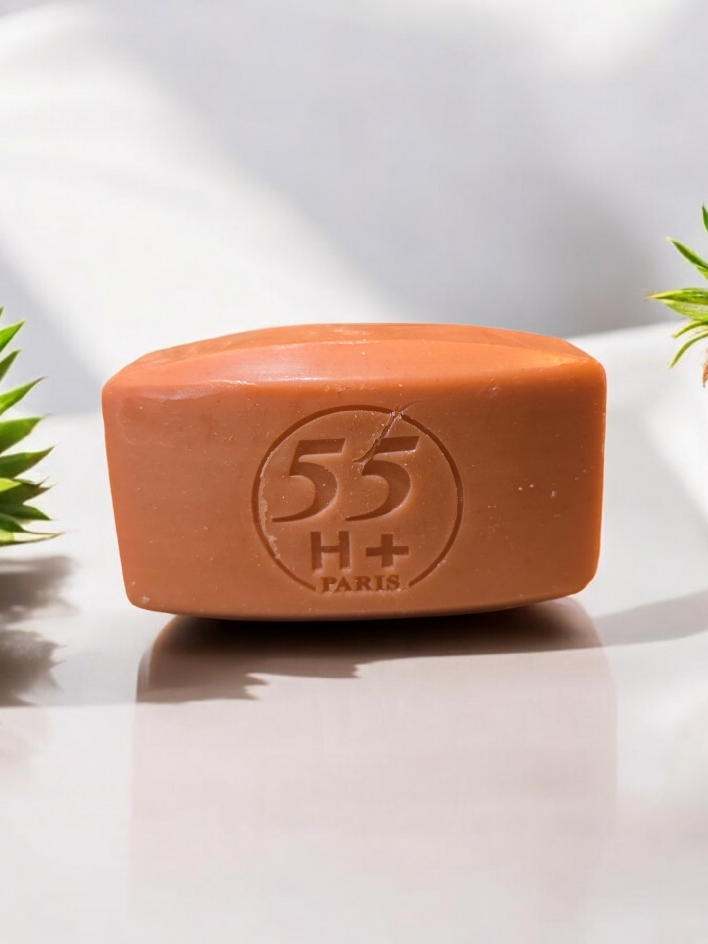 55H+ Paris Harmonie Exfoliating Soap 7 oz